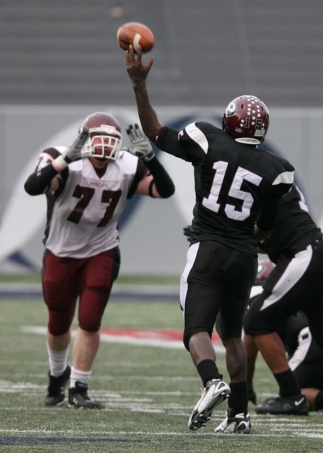 了经济来源 了经济来源