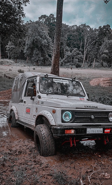 這樣的做法 這樣的做法