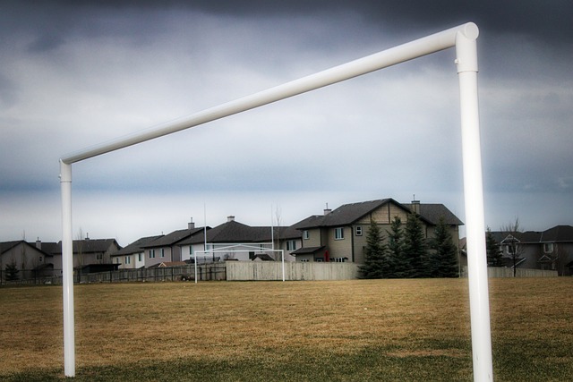 力和默契 力和默契