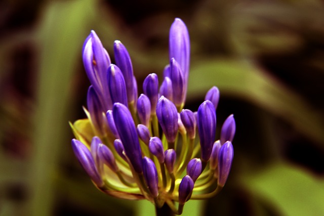 的回憶之一 的回憶之一