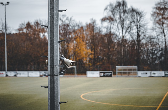 数据显示 数据显示