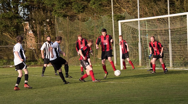 公平竞争精 公平竞争精