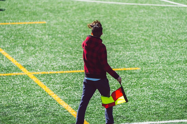 因素之一 因素之一