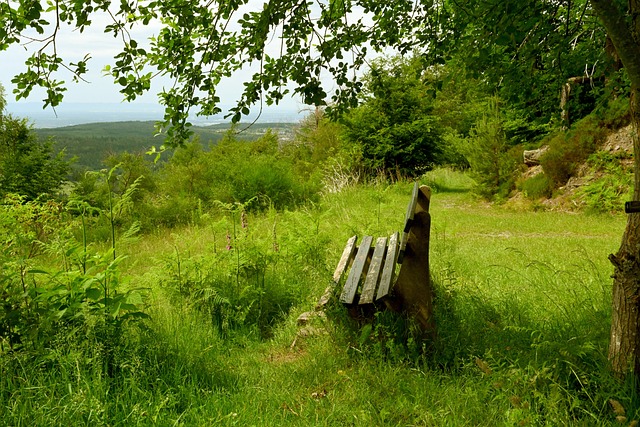 他的表现无 他的表现无