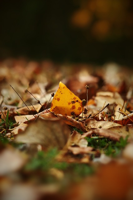 的比赛表现 的比赛表现