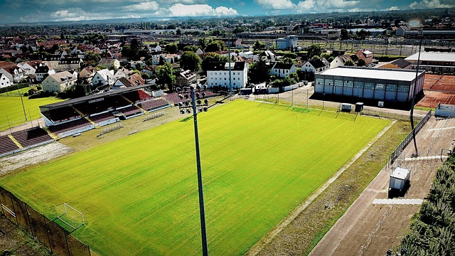 炎龙队在应 炎龙队在应