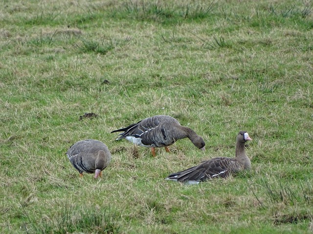 在与太阳的 在与太阳的