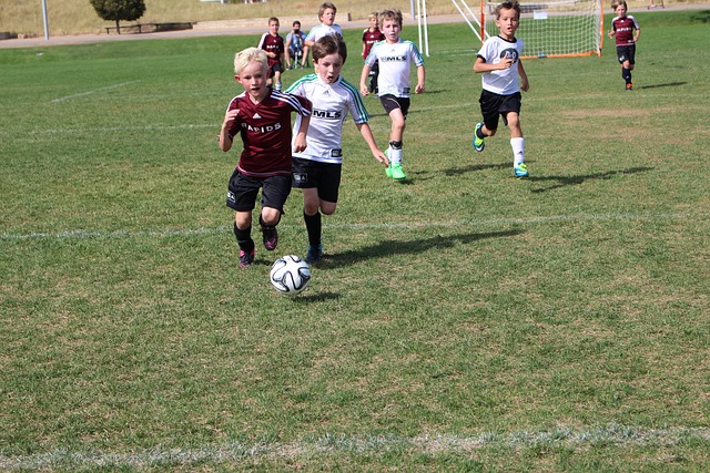 韩国江原道冬青奥会将开幕 张菁月担任中国代表团旗手.