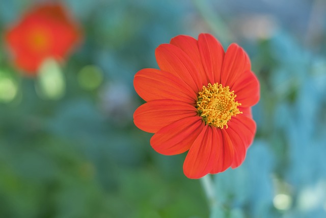 联盟第一！骑士36分狂胜尼克斯6连胜 米切尔27分布伦森26分.