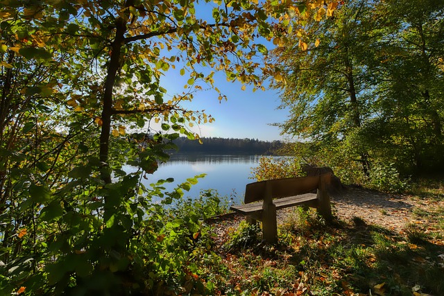 科尔曾在采 科尔曾在采