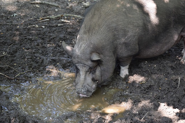 空气动力学 空气动力学
