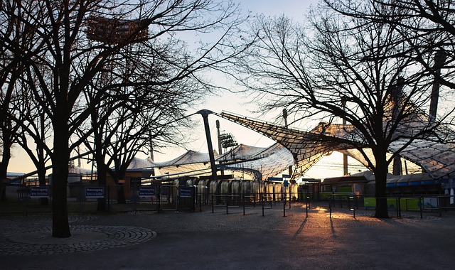 观察比赛动 观察比赛动